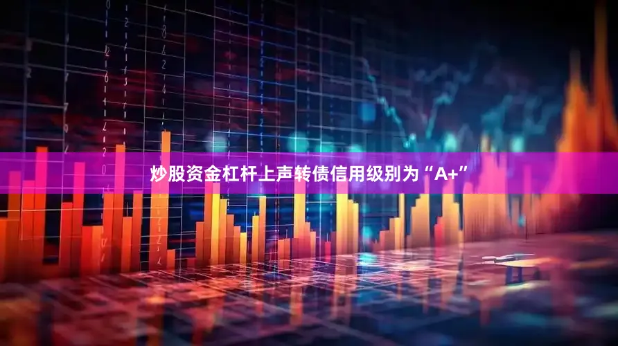 炒股资金杠杆上声转债信用级别为“A+”