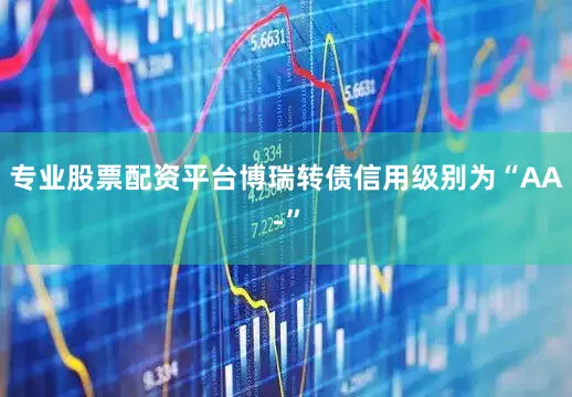 专业股票配资平台博瑞转债信用级别为“AA-”