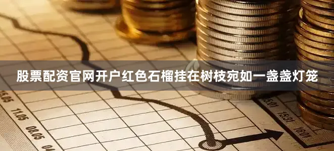 股票配资官网开户红色石榴挂在树枝宛如一盏盏灯笼